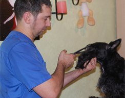 картинка 3
